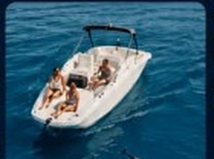 Boat with dolphins in the sea